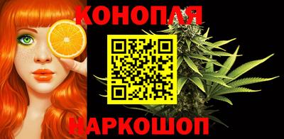 амф Сланцы