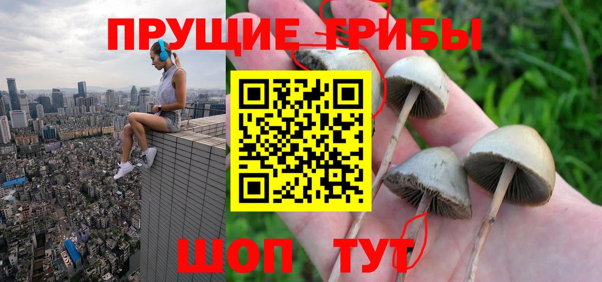 Галлюциногенные грибы Magic Shrooms  где купить   Ногинск  Вход с VPN 